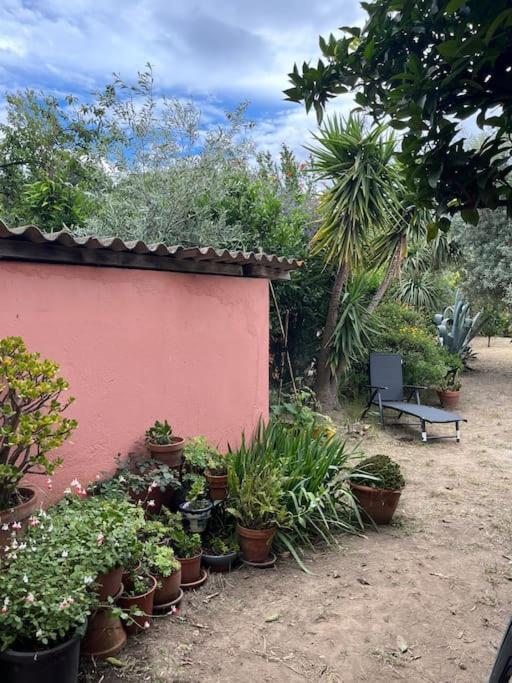 Maison De Village Vintage Avec Grand Jardin Elne Zewnętrze zdjęcie