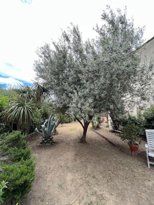 Maison De Village Vintage Avec Grand Jardin Elne Zewnętrze zdjęcie
